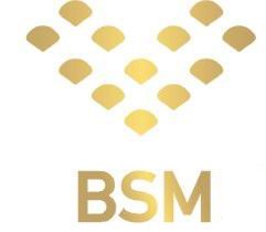 BSM ENTERPRISE LTD.